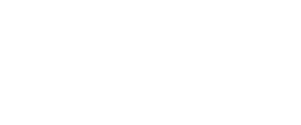 Efficiency icon white
